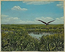 Landschaft und Vogelwelt – aus dem Nachlass Richard Nagel