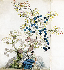 Abbildung: Aufwendig gestalteter Stammbaum aus einem Privatnachlass