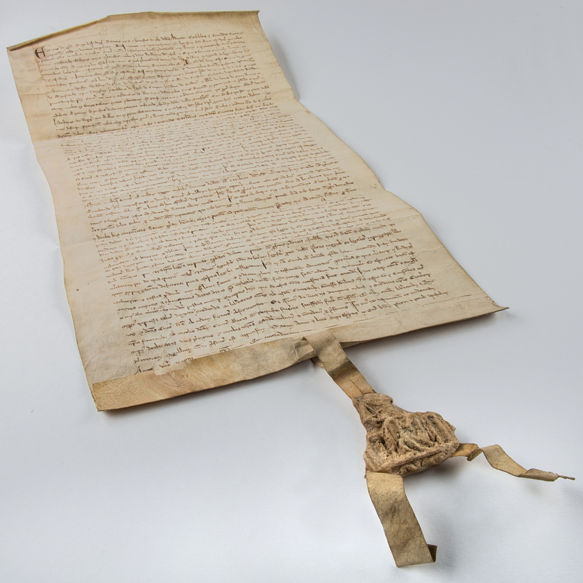 Urkunde vom 6. Juli 1294